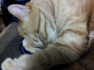 20150101_215244.jpg