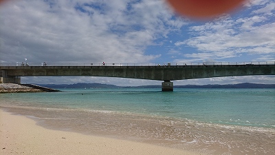 DSC_0557117 (8)