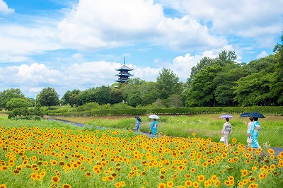 IMG_820220200711 (2)