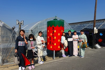 キモノでイチゴ狩り 倉敷市早高 あきちゃん農園 着物 和装小物等販売 きもの彩画廊 岡山県岡山市西古松