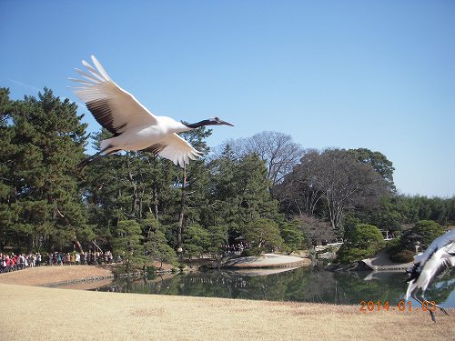 DSCN822220181225.jpg
