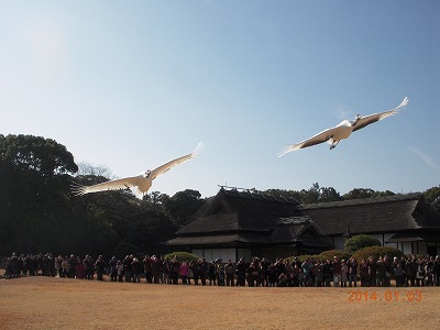 DSCN8238.jpg