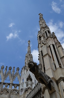 DSC_0151-620.jpg