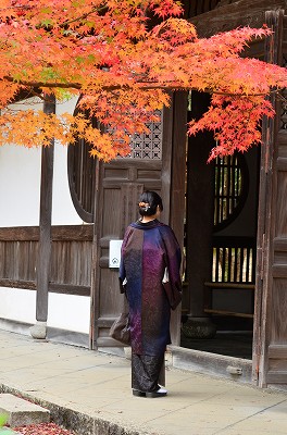 DSC_032320181121.jpg